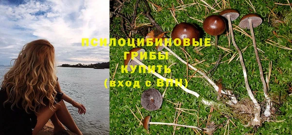 кокс Елизово