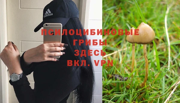 гашиш Заводоуковск