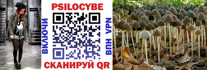 Галлюциногенные грибы Psilocybe  площадка наркотические препараты  Слободской  наркошоп 