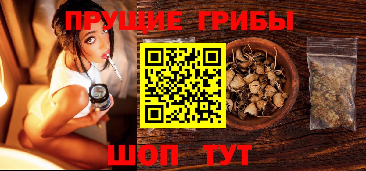 Слободской  Псилоцибиновые грибы мицелий  Вход с VPN 